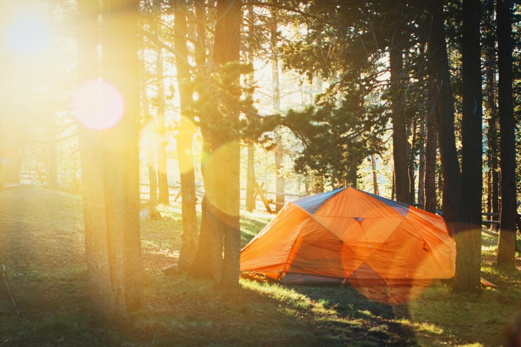 pexels-photo-2609954-2609954 Orange tent in a sunlit forest, perfect for a summer camping adventure.